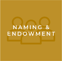 Naming and Endowment icon