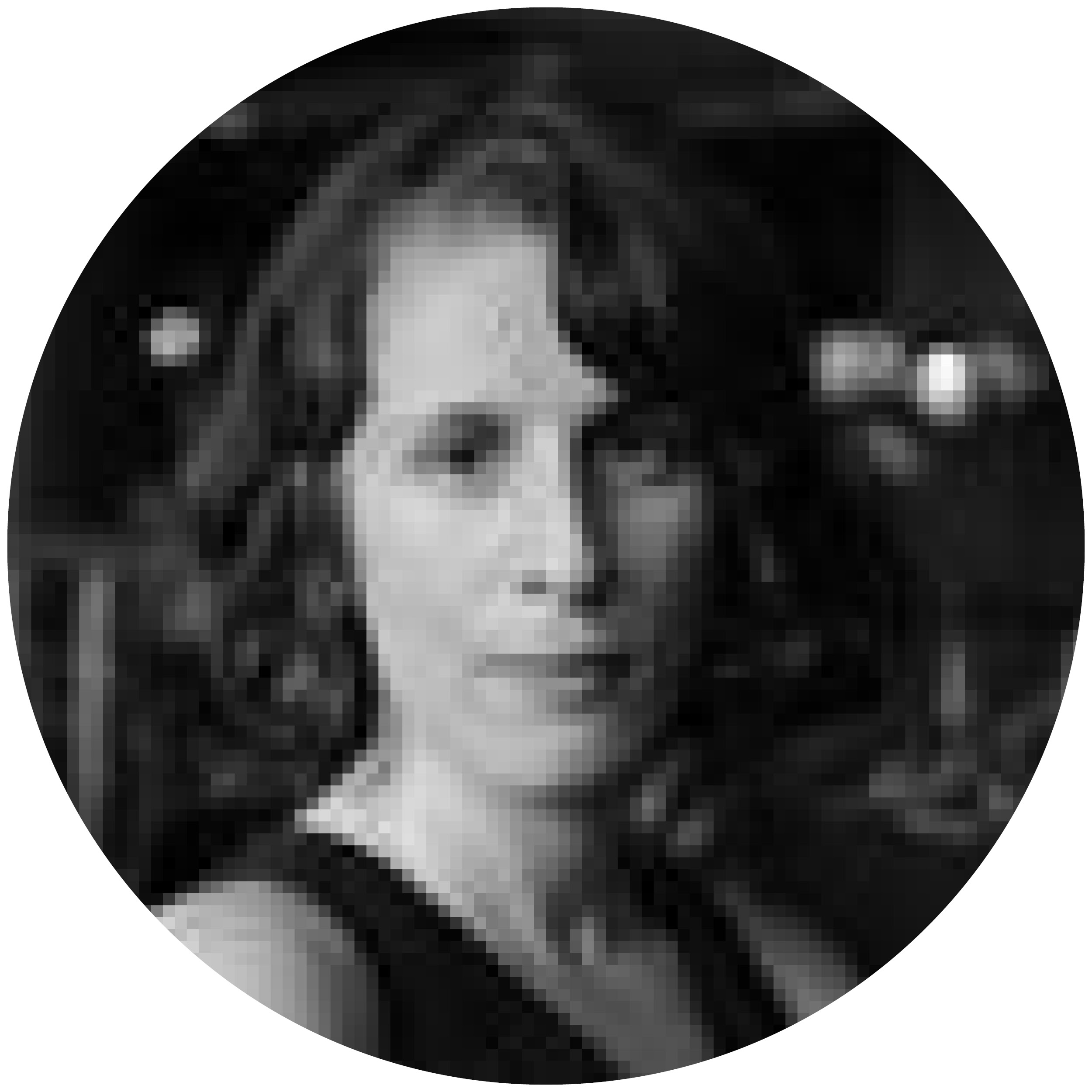 Tahereh Granpayehvaghei headshot