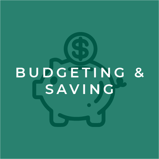 Financial Literacy Icon-Budgeting and Saving
