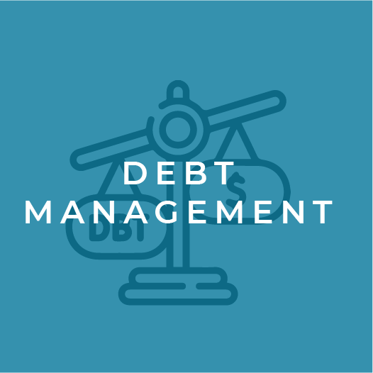 Financial Literacy Icon-Debt Management