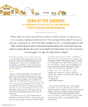 Song of Suburbs Thumbnail